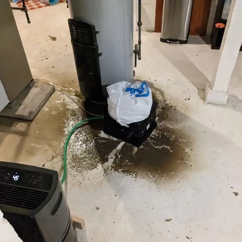 Sewage Backup Cleanup Service in Shelbina, MO